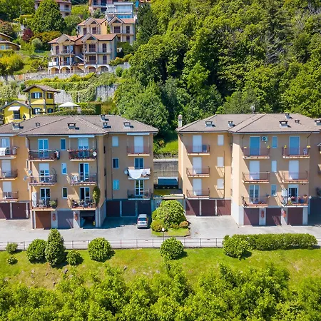 The Golden View - Happy