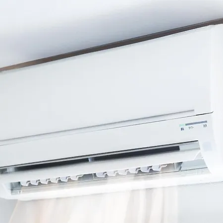 The Golden View - Happy 벨지라테